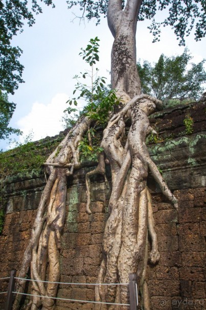 АНГКОР ВАТ- ТРИ ДНЯ В КАМБОДЖЕ - 3