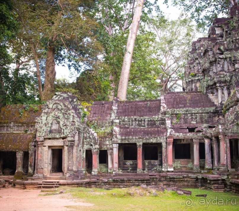 АНГКОР ВАТ- ТРИ ДНЯ В КАМБОДЖЕ - 3