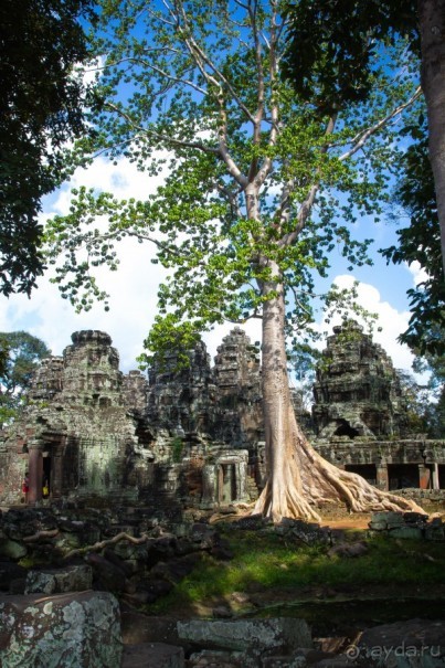 АНГКОР ВАТ- ТРИ ДНЯ В КАМБОДЖЕ - 3