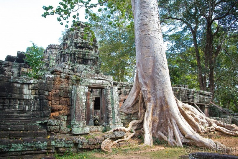 АНГКОР ВАТ- ТРИ ДНЯ В КАМБОДЖЕ - 3