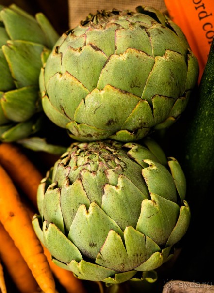 фото Манчестера