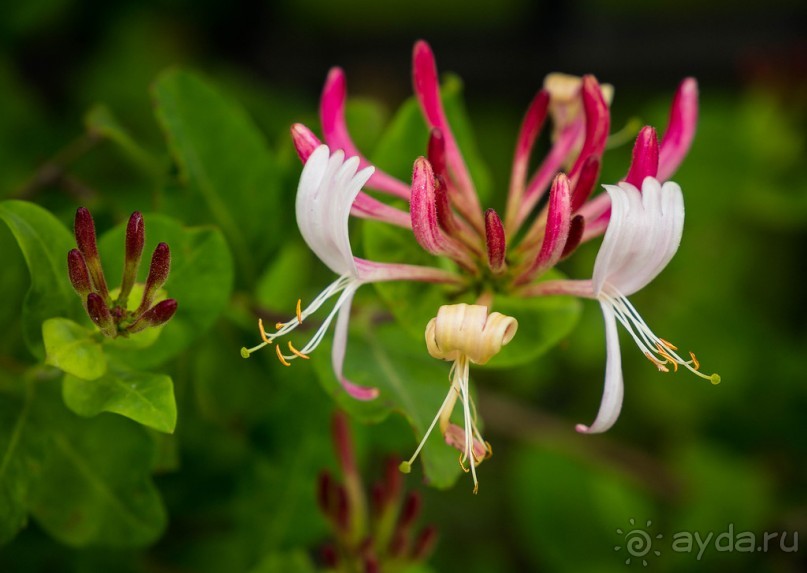 фото Манчестера