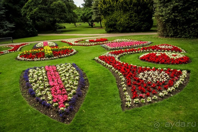 Альбом отзыва "ШЕФФИЛД (SHEFFILED)"