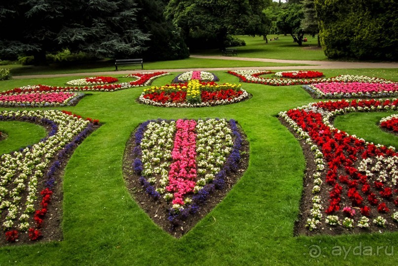 Альбом отзыва "ШЕФФИЛД (SHEFFILED)"