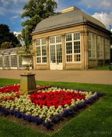 Альбом отзыва "ШЕФФИЛД (SHEFFILED)"