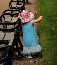 Альбом отзыва "ШЕФФИЛД (SHEFFILED)"