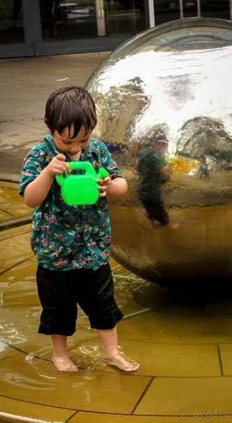 ШЕФФИЛД (SHEFFILED)