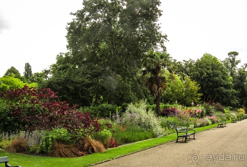 ШЕФФИЛД (SHEFFILED)