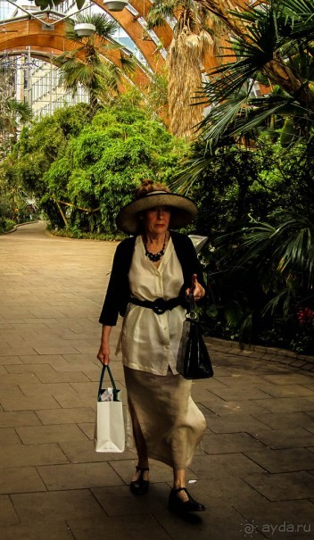 ШЕФФИЛД (SHEFFILED)