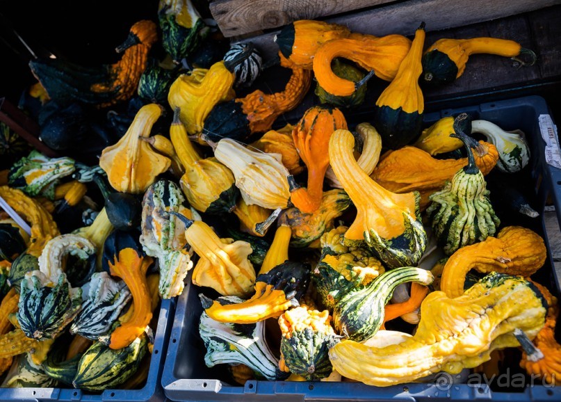 OAKHAM - ГОРОДОК