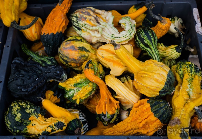 OAKHAM - ГОРОДОК