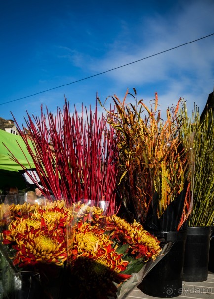 OAKHAM - ГОРОДОК