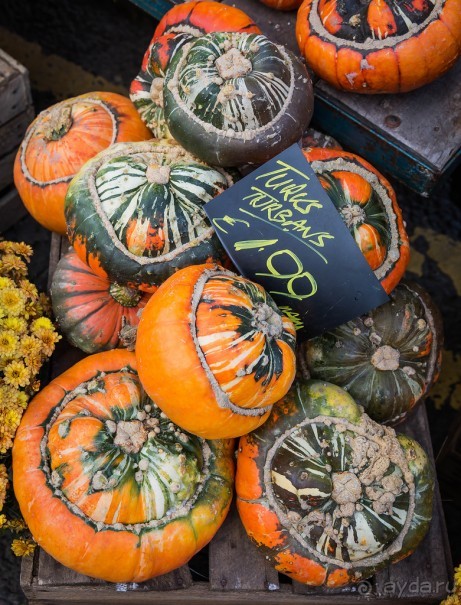 OAKHAM - ГОРОДОК