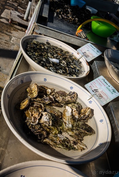 РЫБНЫЙ РЫНОК В ГАЛИПОЛИ