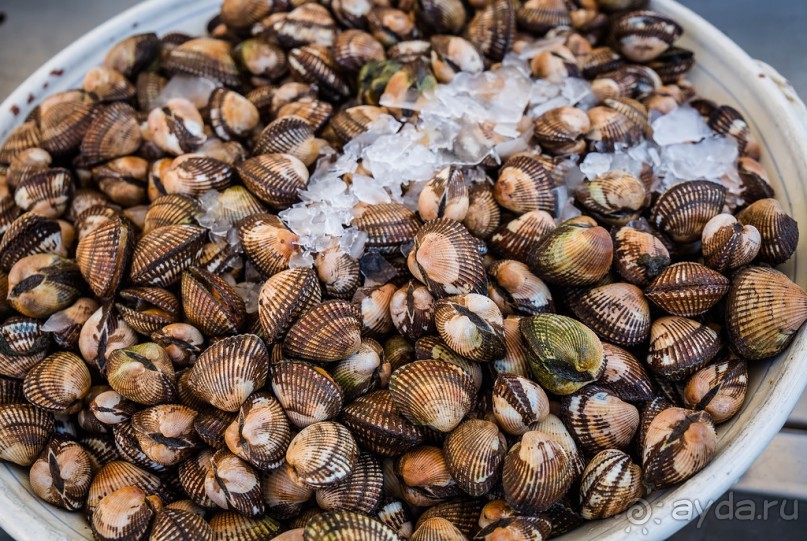 РЫБНЫЙ РЫНОК В ГАЛИПОЛИ