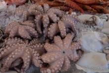 РЫБНЫЙ РЫНОК В ГАЛИПОЛИ