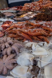 РЫБНЫЙ РЫНОК В ГАЛИПОЛИ