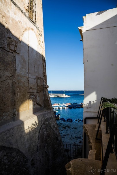 РЫБНЫЙ РЫНОК В ГАЛИПОЛИ