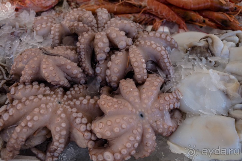 РЫБНЫЙ РЫНОК В ГАЛИПОЛИ