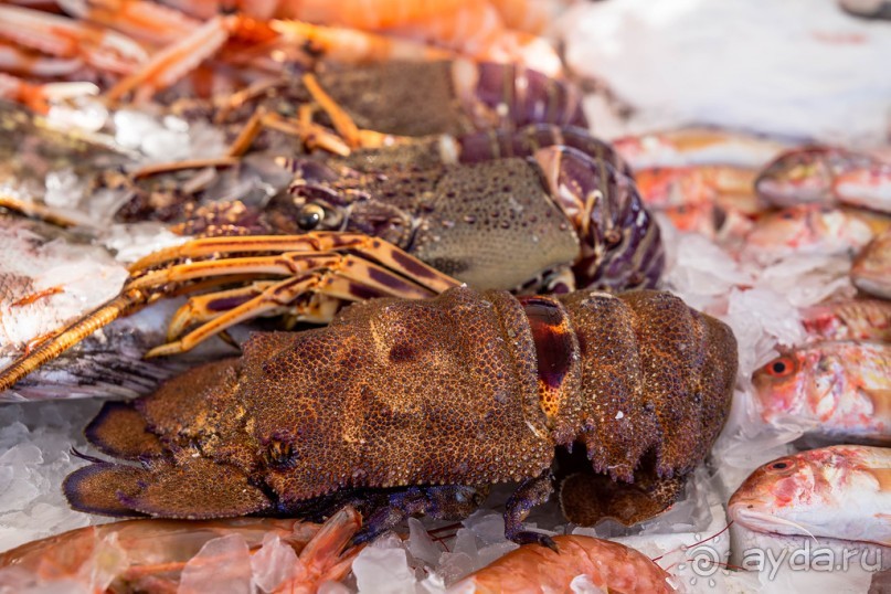 РЫБНЫЙ РЫНОК В ГАЛИПОЛИ