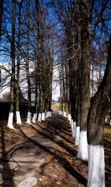 МОРОЗОВА ФЕОДОСИЯ ПРОКОПЬЕВНА И БОРОВСК