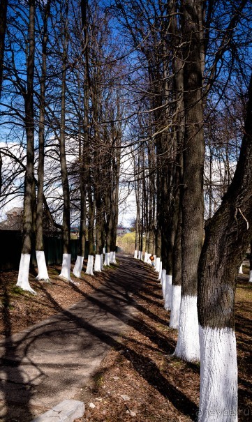 МОРОЗОВА ФЕОДОСИЯ ПРОКОПЬЕВНА И БОРОВСК