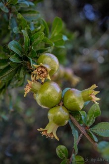 фото Апулии