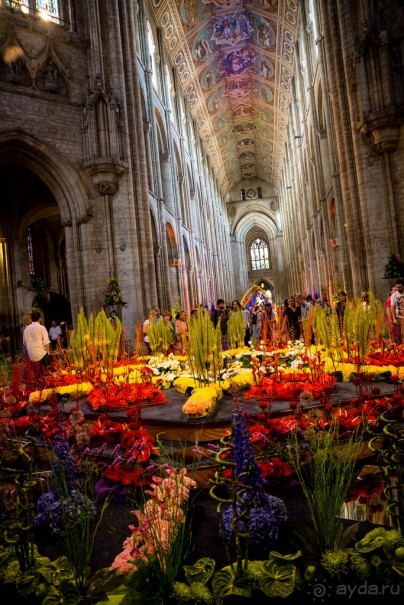 СОБОР В ИЛИ - ФЕСТИВАЛЬ ЦВЕТОВ - ИЮНЬ 2018 3