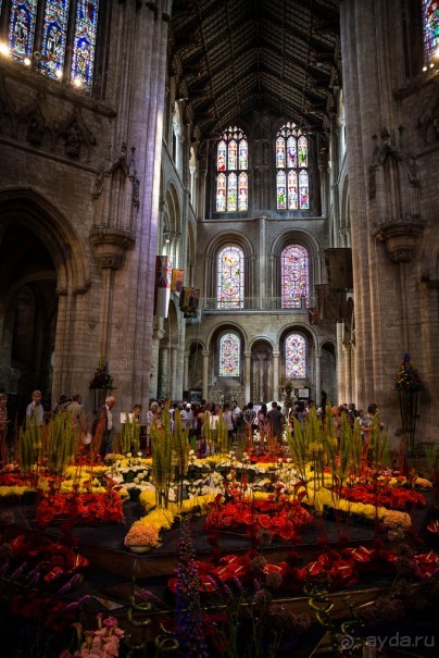 СОБОР В ИЛИ - ФЕСТИВАЛЬ ЦВЕТОВ - ИЮНЬ 2018 3