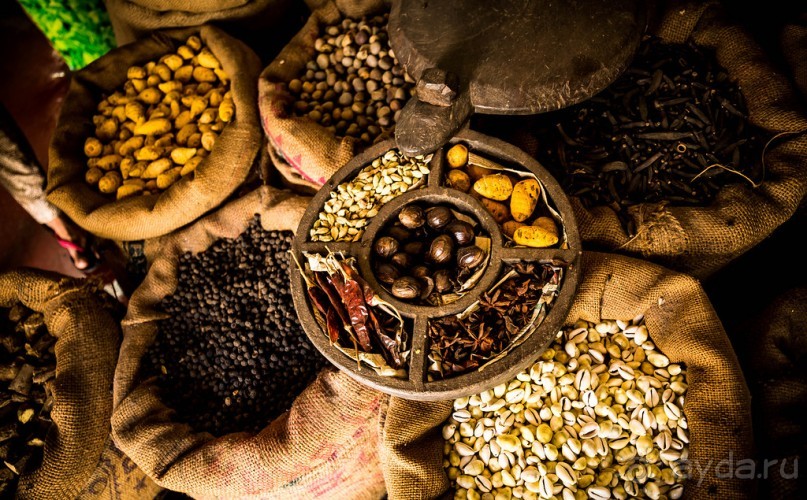 ФОРТ КОЧИН - РАЗНОЕ