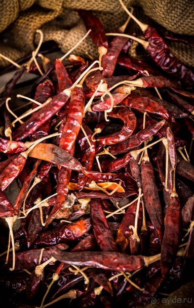 ФОРТ КОЧИН - РАЗНОЕ