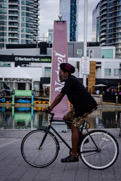 ЛЮДИ НА ОЗЕРЕ ОНТАРИО В ТОРОНТО