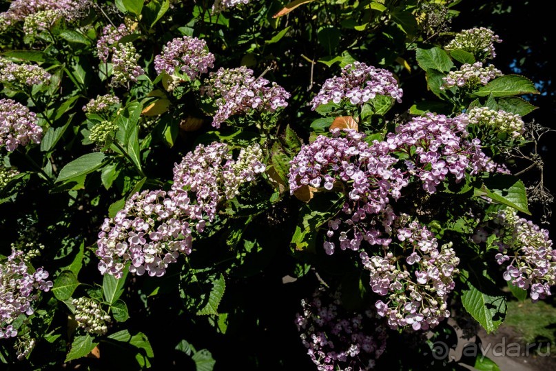 СОБОР В ЧЕСТЕРЕ