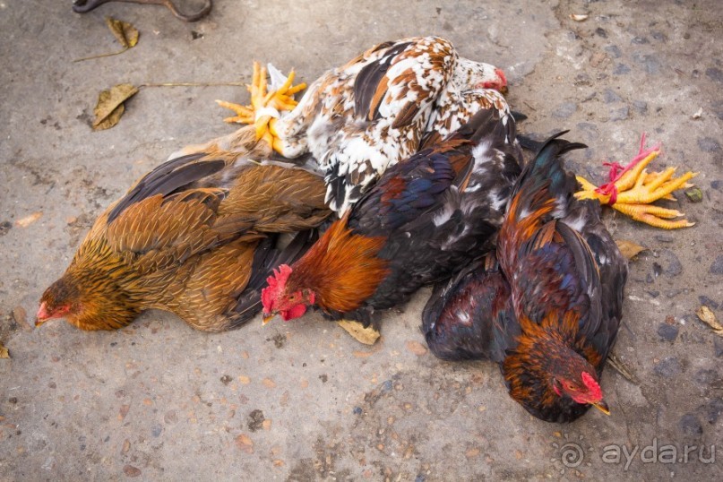 РЫНОК В ХОЙ АНЕ - 2