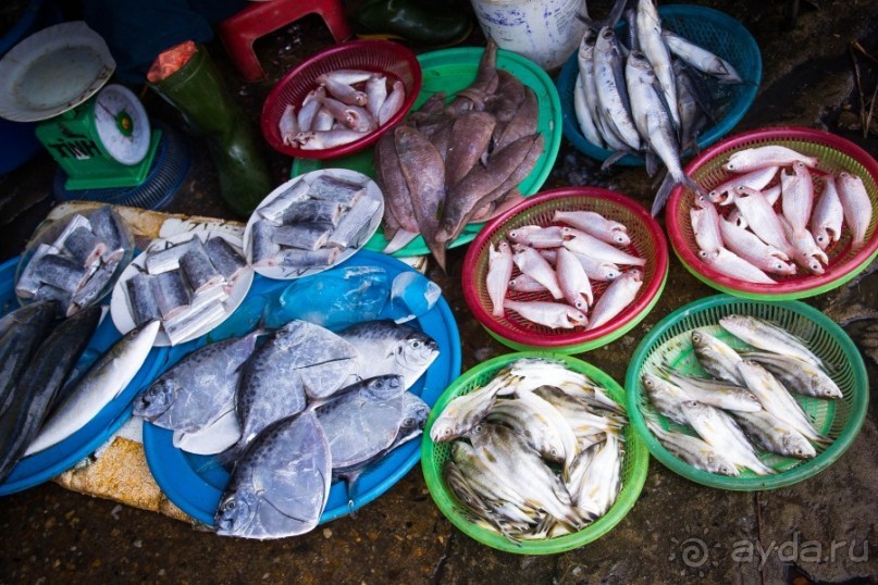 РЫНОК В ХОЙ АНЕ - 2