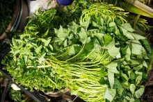 РЫНОК В ХОЙ АНЕ - 2