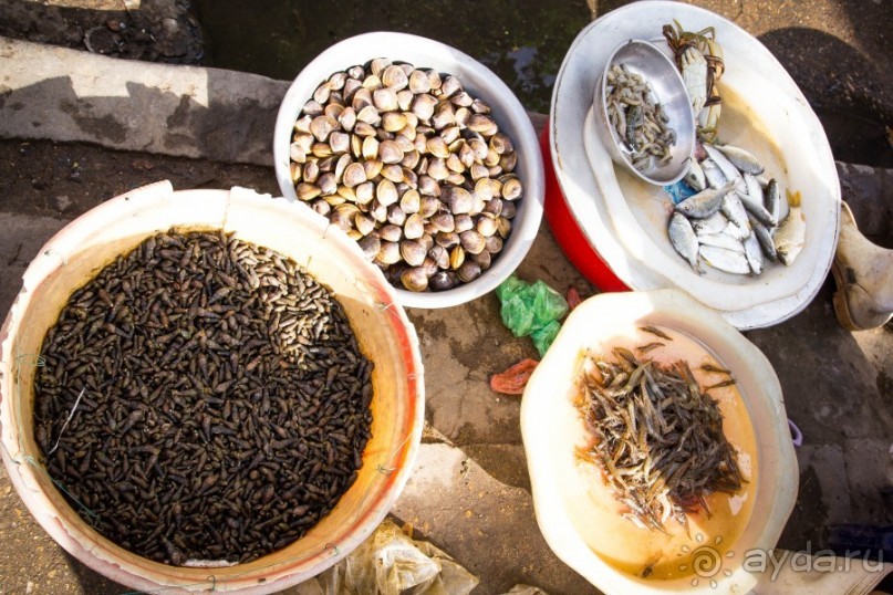 РЫНОК В ХОЙ АНЕ - 2