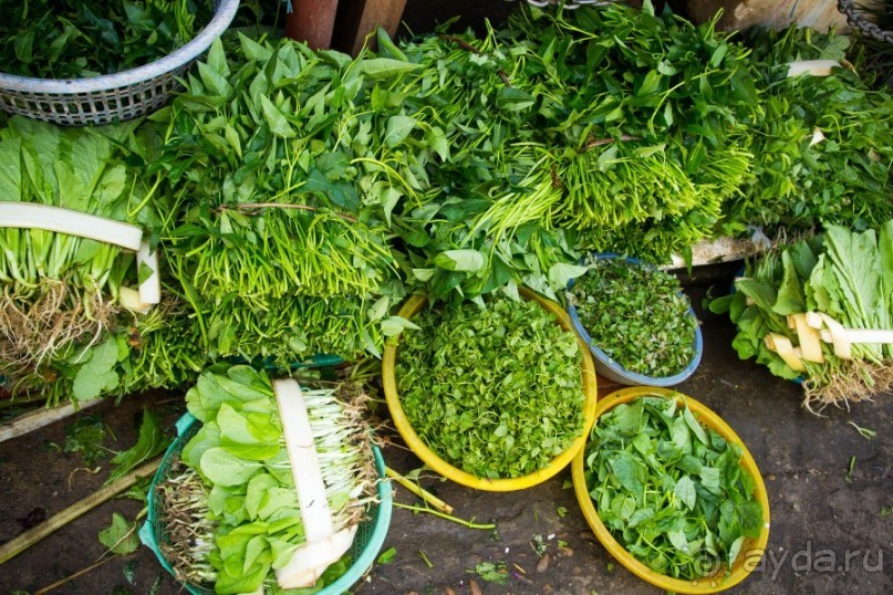 РЫНОК В ХОЙ АНЕ - 2