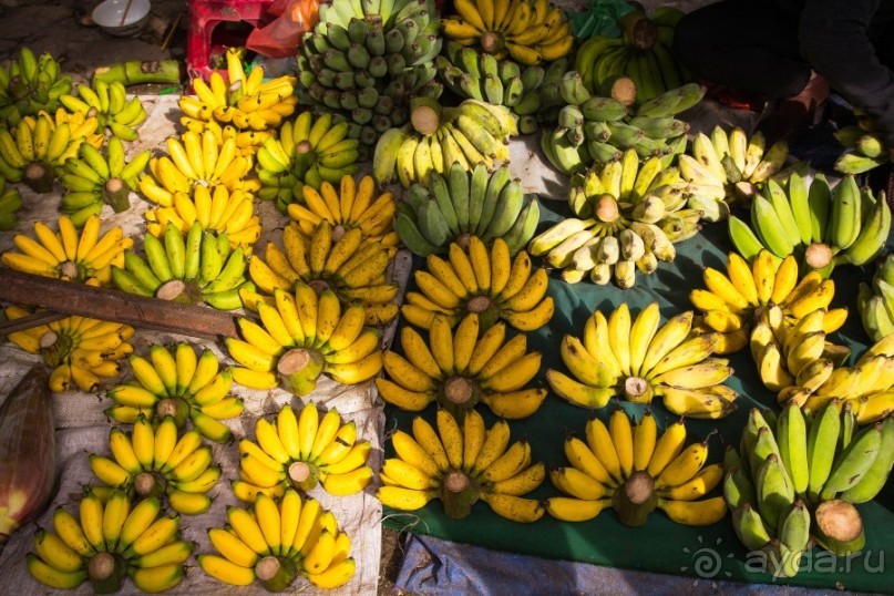 РЫНОК В ХОЙ АНЕ - 2