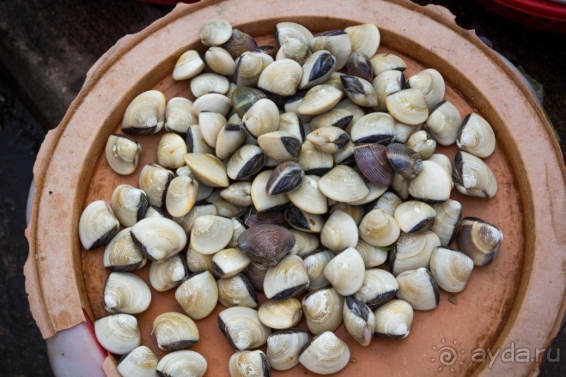 РЫНОК В ХОЙ АНЕ - 2