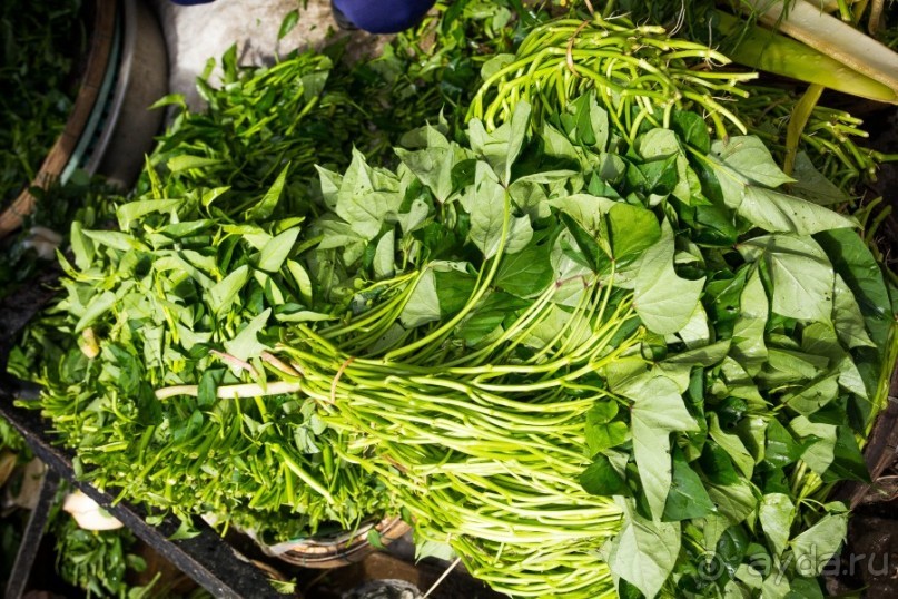 РЫНОК В ХОЙ АНЕ - 2