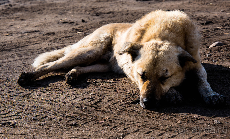 Альбом отзыва "ПЕРЕСЛАВЛЬ ЗАЛЕССКИЙ и РУССКАЯ ОСЕНЬ"