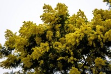 ОЗЕРО ГАРДА НЕ В СЕЗОН - 2