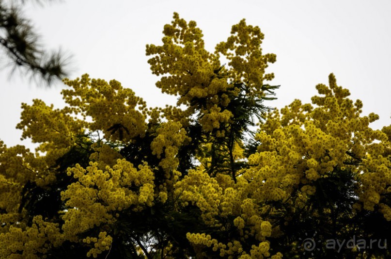 ОЗЕРО ГАРДА НЕ В СЕЗОН - 2