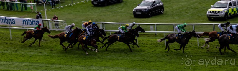 CHESTER В ИЮЛЕ 2017