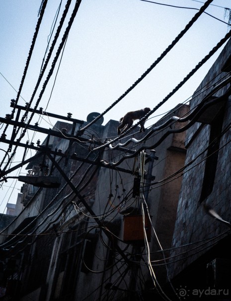 ЛЮДИ НА УЛИЦАХ ДЕЛИ В НАЧАЛЕ ФЕВРАЛЯ