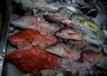 ЛОДКИ И МОРЕ. РЫБНЫЙ РЫНОК НА ПХУКЕТЕ