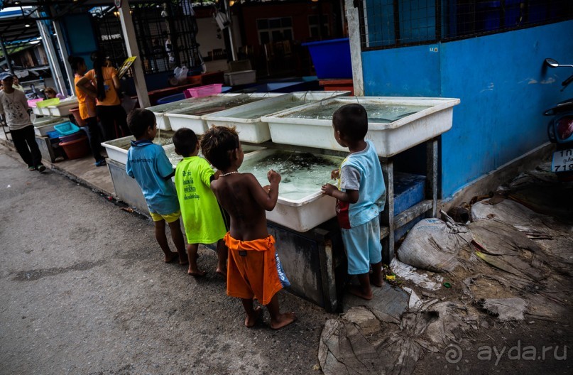 ЛОДКИ И МОРЕ. РЫБНЫЙ РЫНОК НА ПХУКЕТЕ