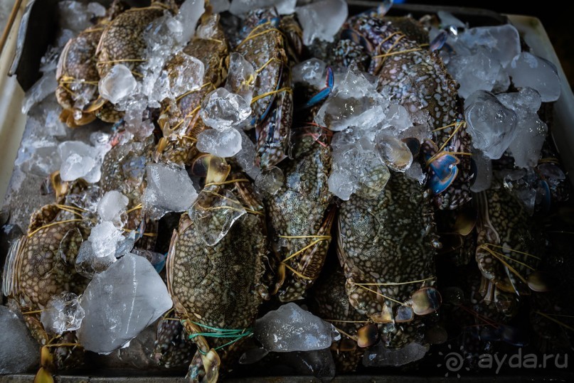 ЛОДКИ И МОРЕ. РЫБНЫЙ РЫНОК НА ПХУКЕТЕ