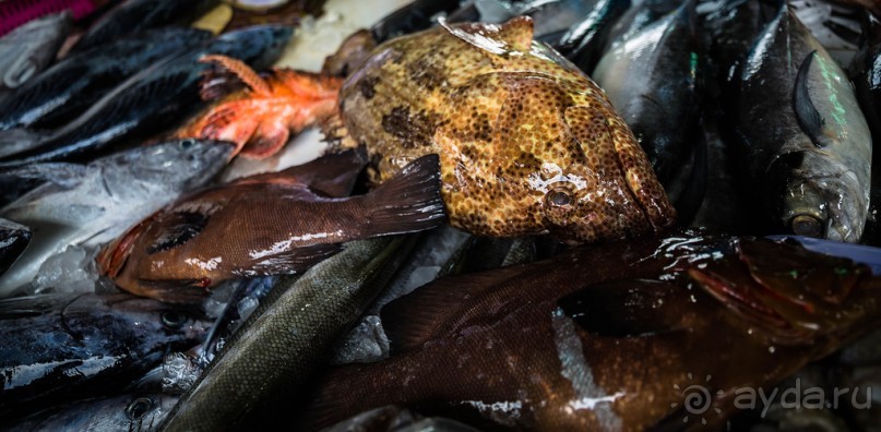 ЛОДКИ И МОРЕ. РЫБНЫЙ РЫНОК НА ПХУКЕТЕ